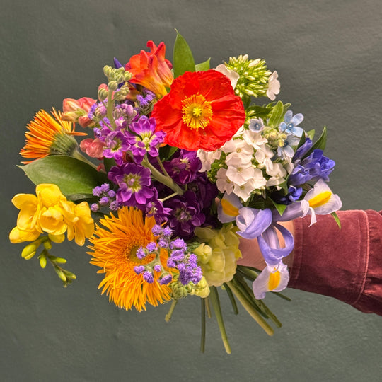Colorful bouquet of flowers held by a person against a dark background