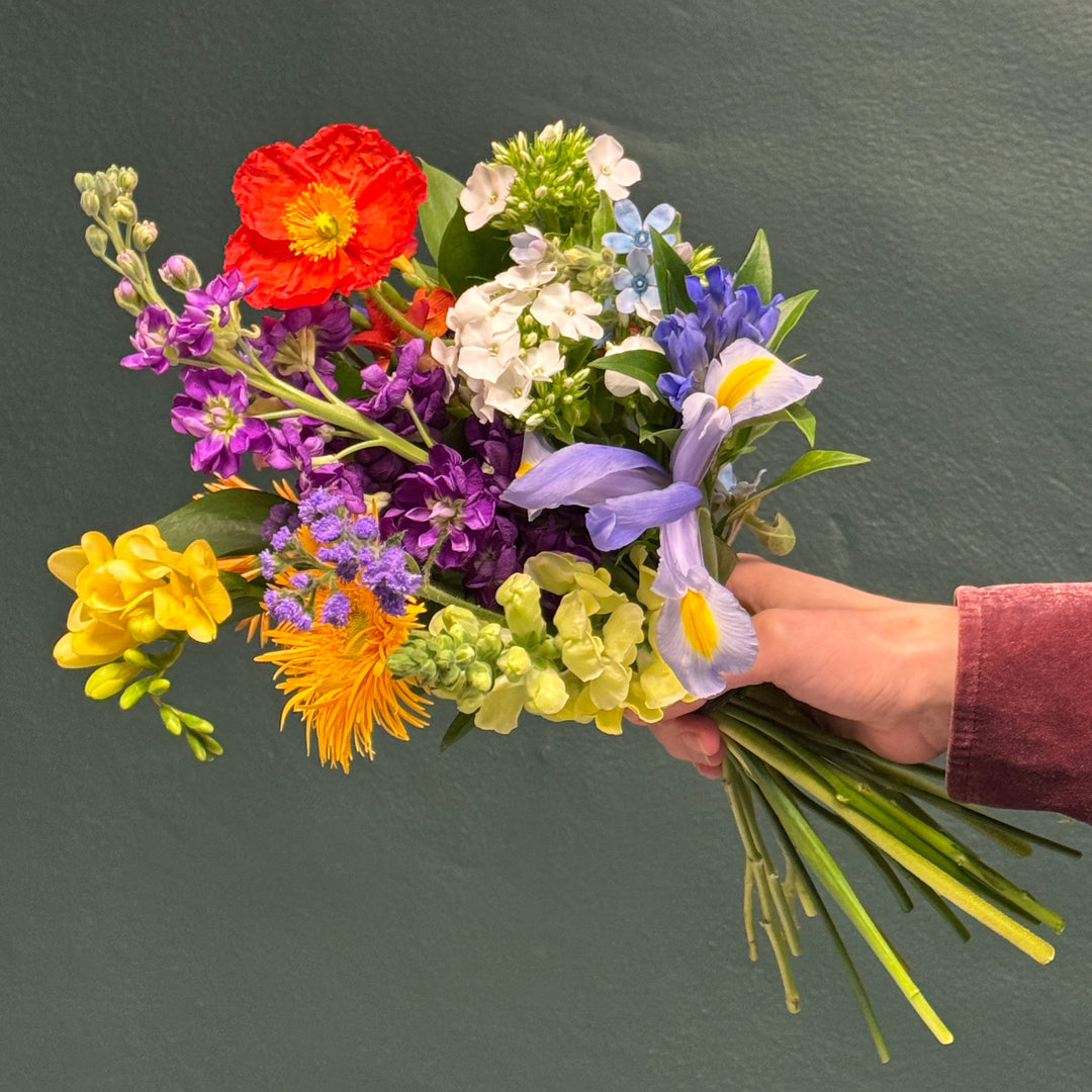 Hand holding a colorful bouquet of flowers against a dark background