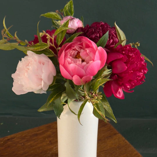 the peonies