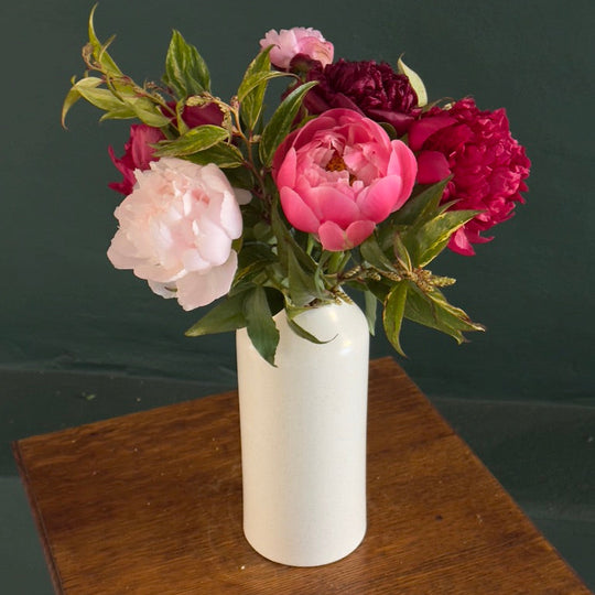 the peonies