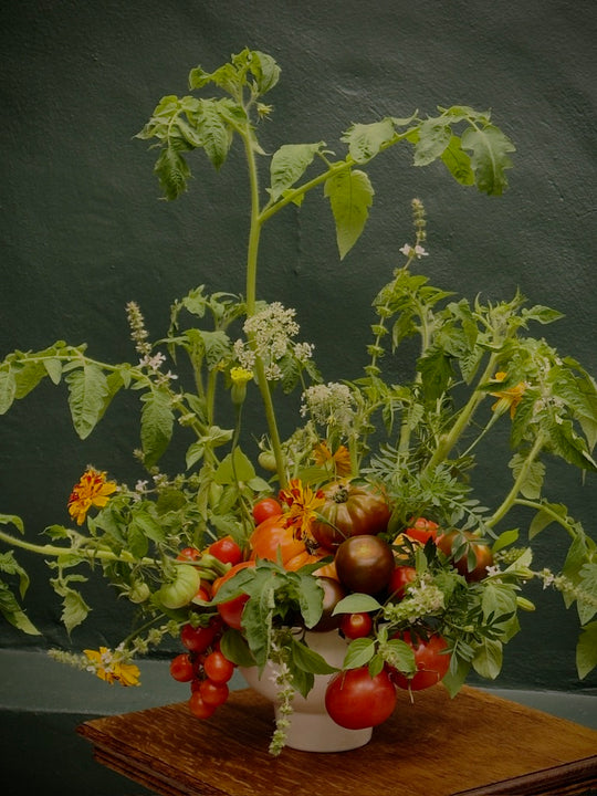 Bowl of tomatoes and herbs on a dark background