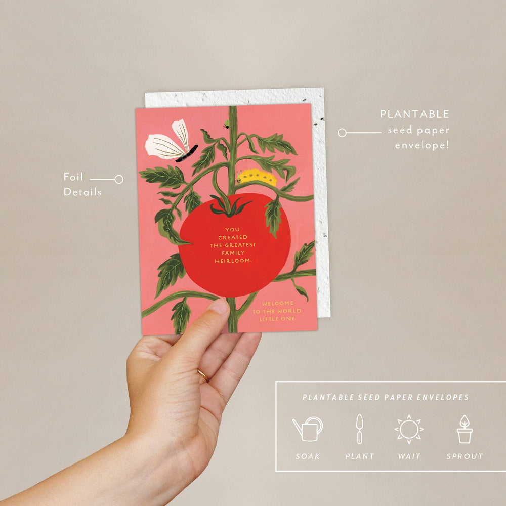 Hand holding a plantable seed paper envelope with a tomato design on a beige background