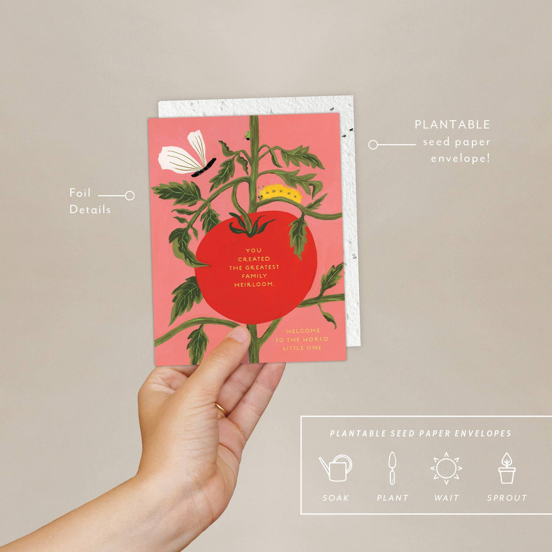 Hand holding a plantable seed paper envelope with a tomato design on a beige background
