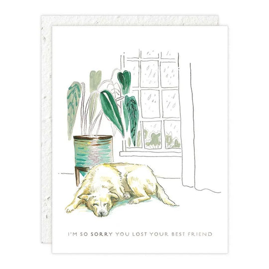 Card with illustration of a dog lying on the floor next to a plant, with text 'I'm so sorry you lost your best friend'.