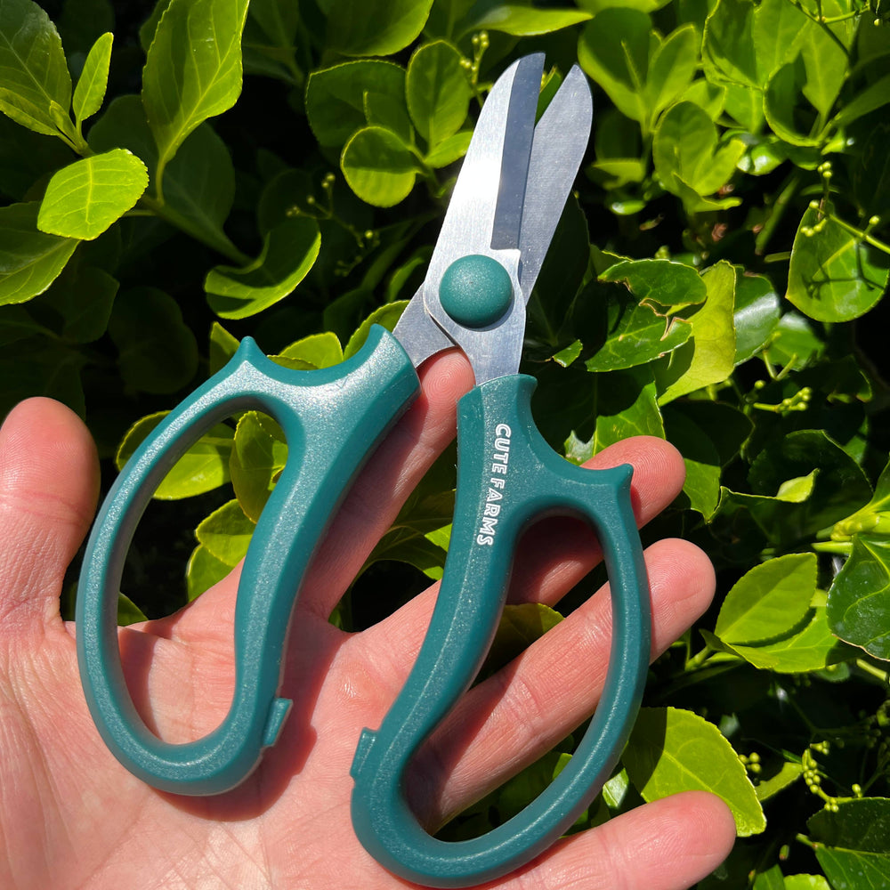 March 12 | Floral Designing Beyond the Basics