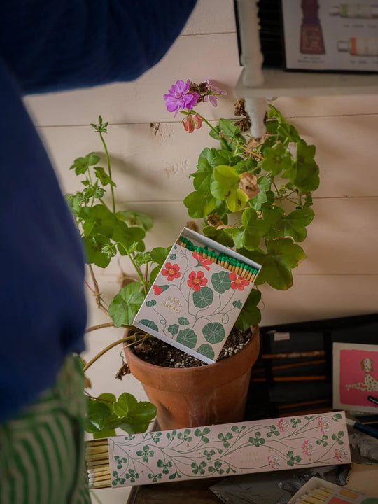 Potted plant with a decorative box on top, set against a wooden wall.