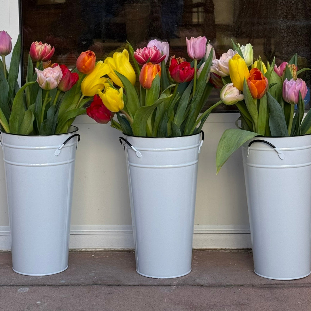 farmer tulips