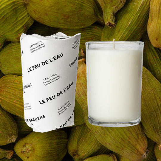 Cardamom