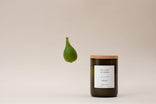 Considered Materials Candle| Fig Leaf & Fern