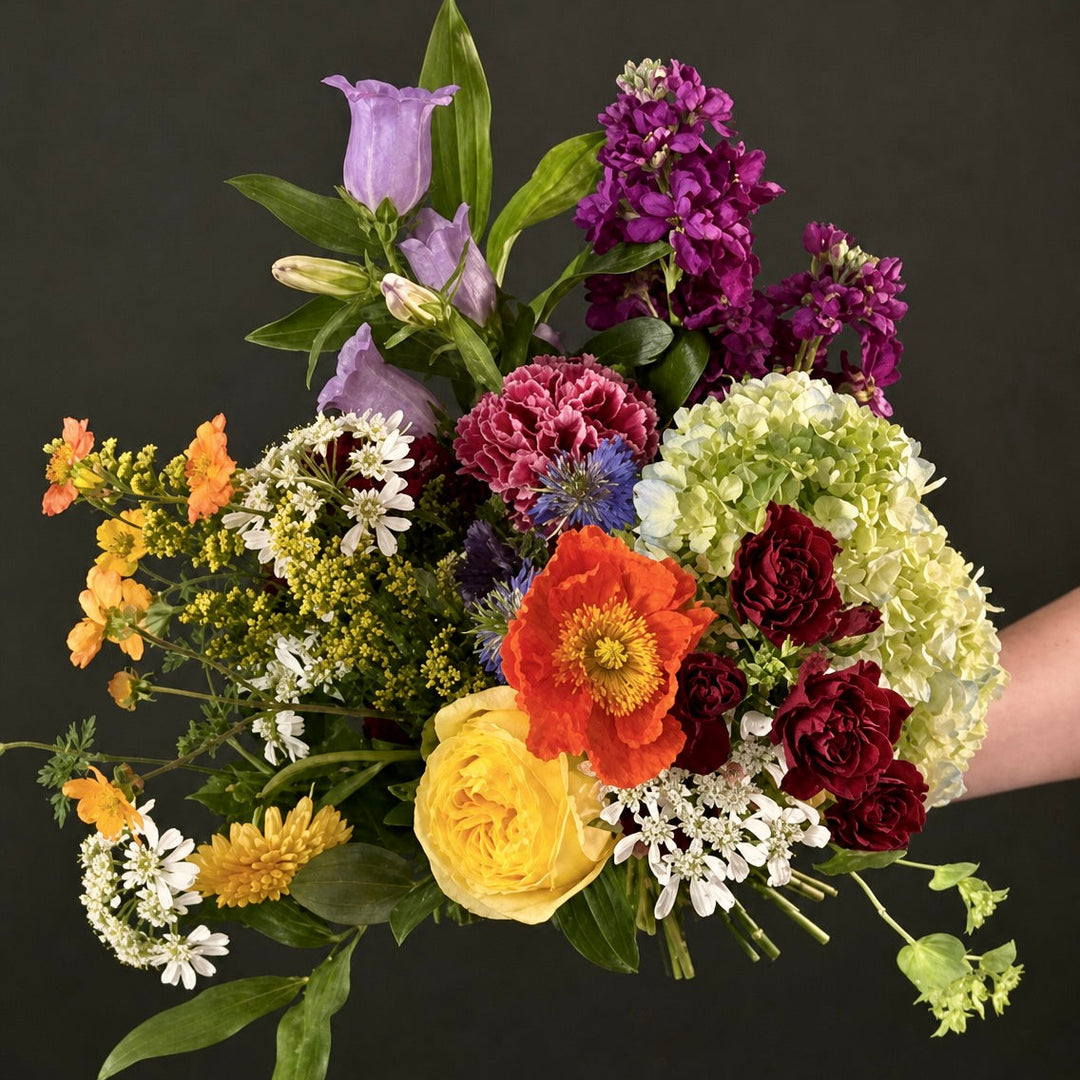 Bouquet of colorful flowers held by a person against a black background