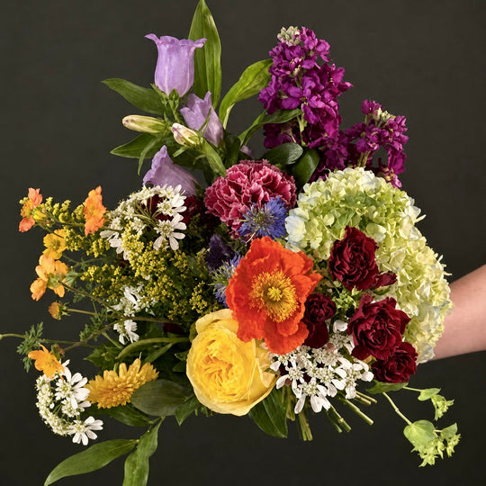 Bouquet of colorful flowers held by a person against a black background