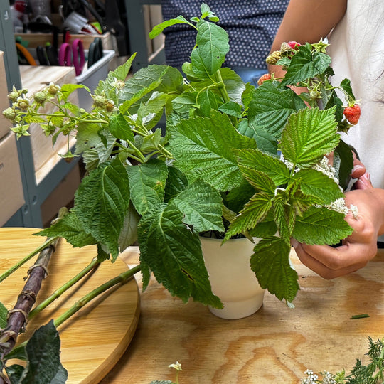 Woman arranging plants on a table in a market setting