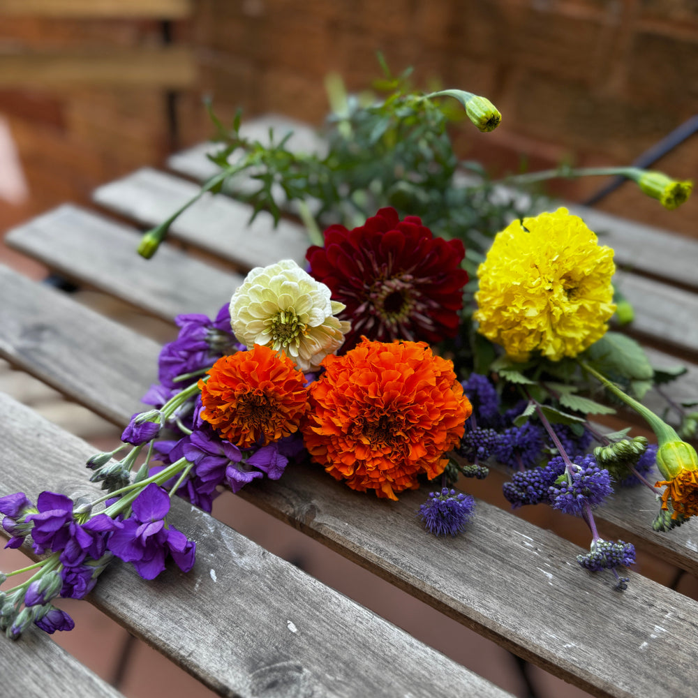 Orange and yellow marigolds, white and red zinnias, purple stock, and purple caryopteris are arranged in a loose bouquet, on a slatted wood outdoor table