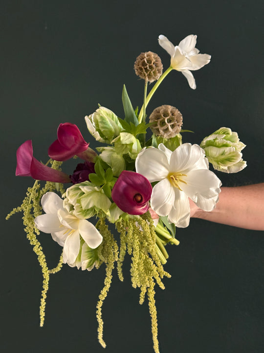 Bouquet of flowers held by a hand against a black background
