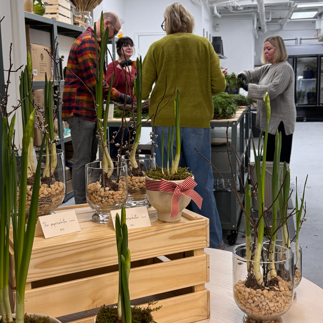 Collage of a person in a kitchen with various items including plants and a table.