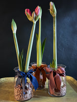 Glass vase with tulip buds on a reflective surface