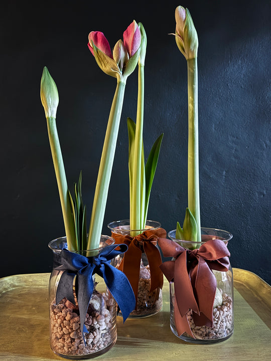 Glass vase with tulip buds on a reflective surface