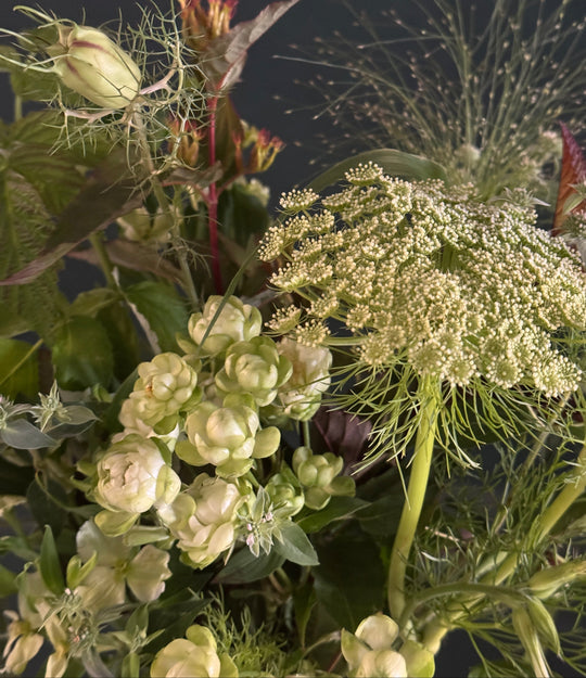 A close-up of a floral arrangement featuring pale green and off-white flowers, including a large compound umbel, clustered rose-like blooms, feathery dill, and dark green foliage against a dark background.