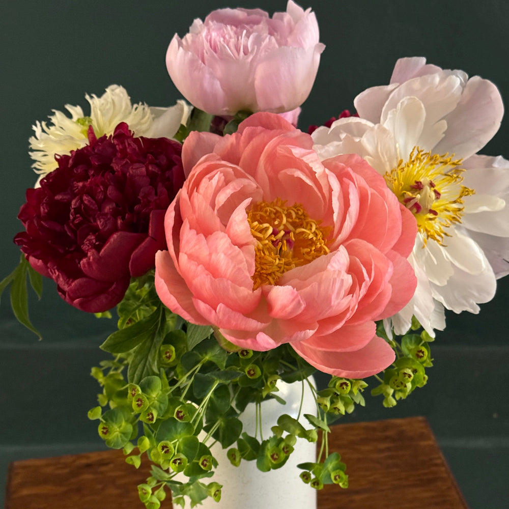 the peonies
