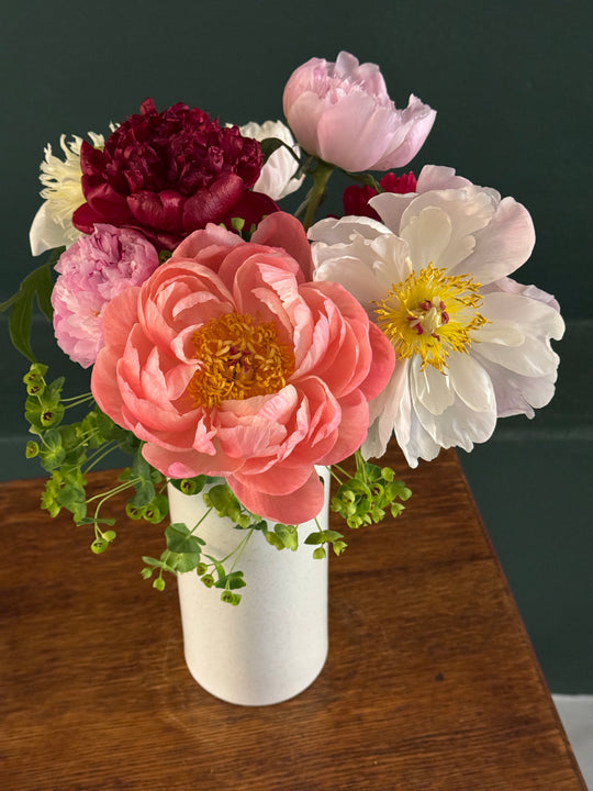 the peonies