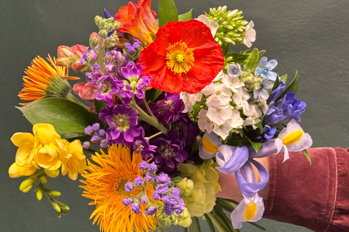Colorful bouquet of flowers held by a person against a dark background