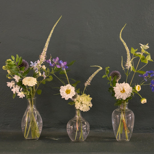 Three transparent glass vases with floral arrangements on a dark background