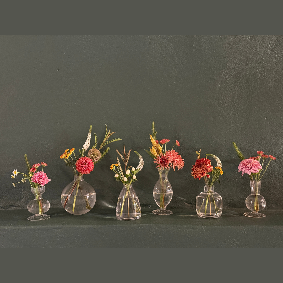 a group 6 of glass bud vases each filled with a mix of flowers and foliage.