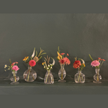 a group 6 of glass bud vases each filled with a mix of flowers and foliage.