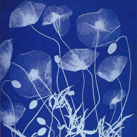 Artistic depiction of jellyfish on a blue background