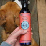 Natural bug repellent for dogs with essential oils, held near a golden dog outdoors