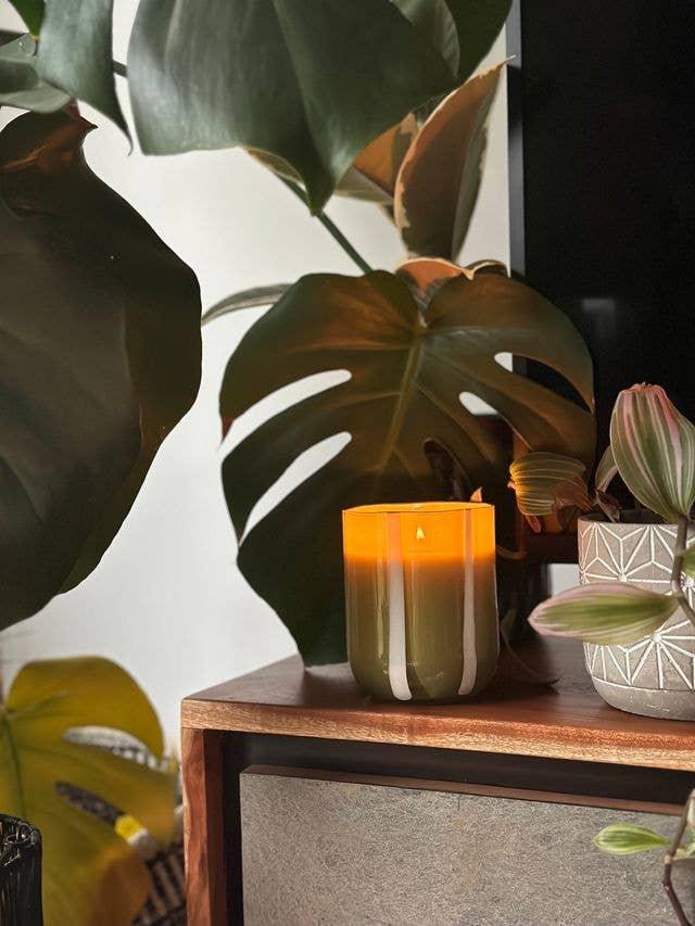 Cozy candle with monstera leaves, perfect for home decor and ambiance