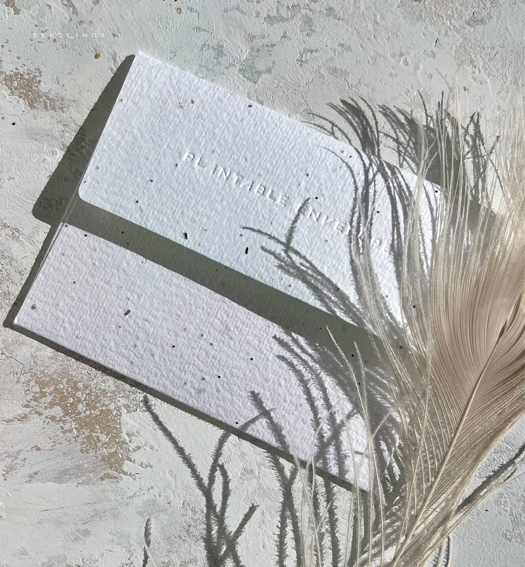 Plantable seed paper card with feather on a textured surface