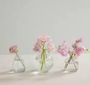 Elegant pink flowers in clear glass vases, perfect for fresh seasonal arrangements and curated gifts.