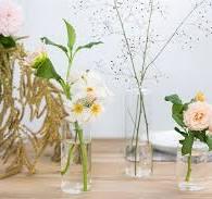 Elegant floral arrangements in clear vases with soft pastel blooms and greenery, perfect for home decor.