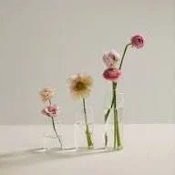 Delicate seasonal flowers in clear vases, perfect for fresh floral arrangements and curated gifts.