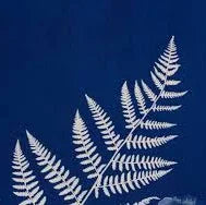 White fern fronds on a blue textured background